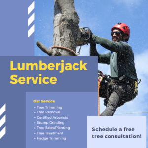 Lumberjack tree service