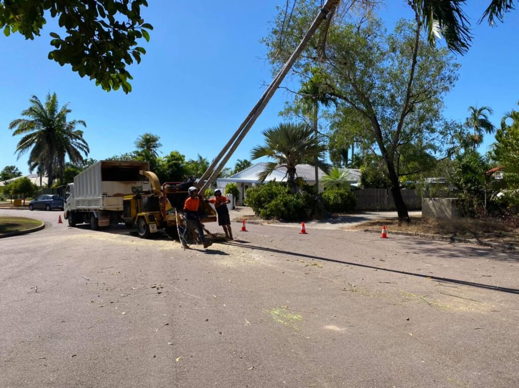 tree removal Darwin