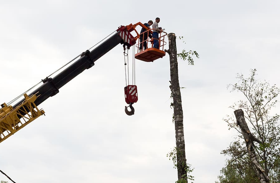 Crane hire in Brisbane